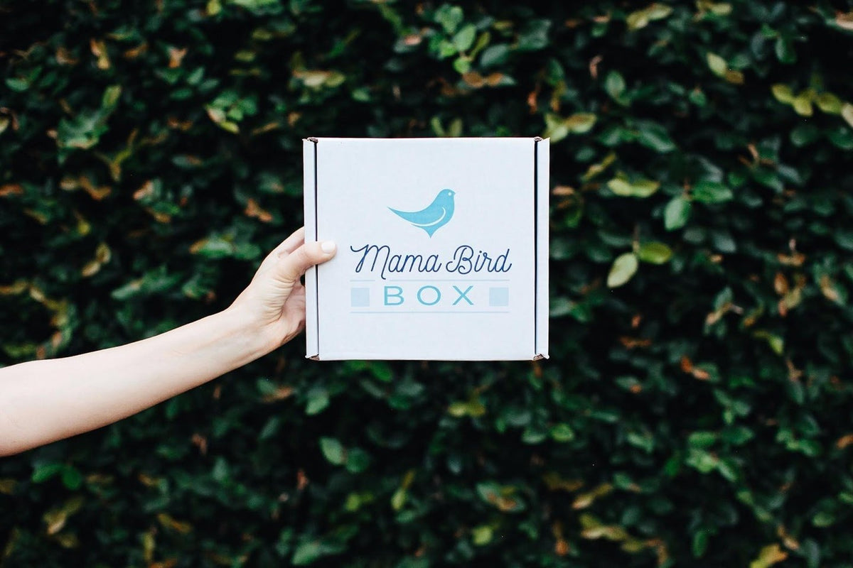 A hand holds up a white Mama Bird Box with its blue bird logo and the words Mama Bird Box, in front of a dark green hedge.