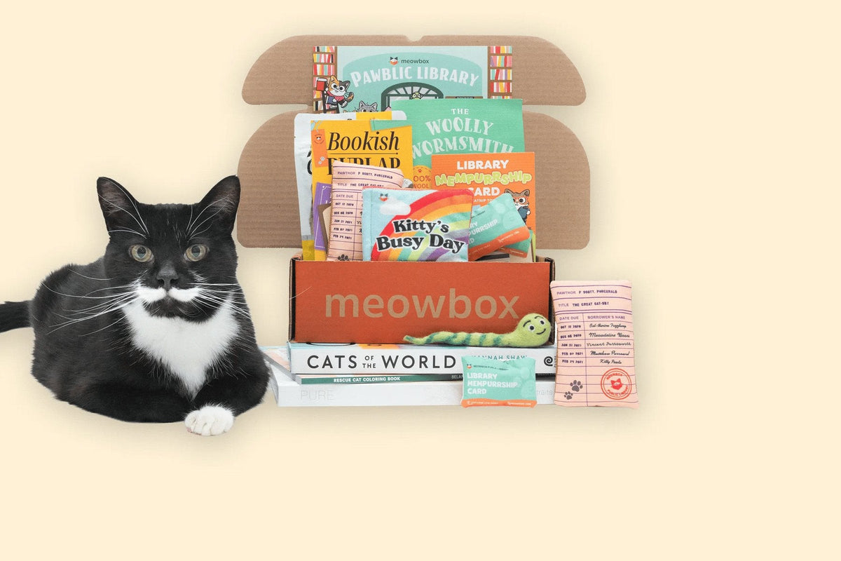 A tuxedo cat lying beside an open orange meowbox packed with library-themed cat toys and treats