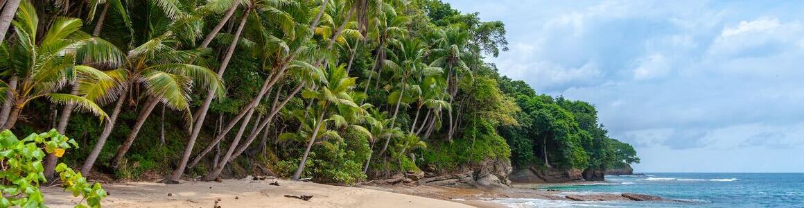 Christmas Subscription Boxes 2024 Christmas Subscription Boxes 2024