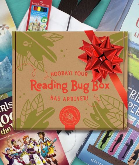 Reading Bug box for kids Reading Bug box for kids