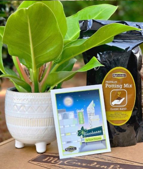 DIY Garden Box DIY Garden Box