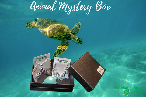 Helping Animals At Risk Animal Mystery Box