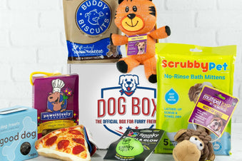 Monthly Dog Box - The Official Box For Furry Friends