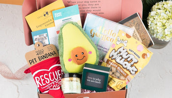 Image of Level Up Your Dog's Subscription Experience with These BarkBox Alternatives