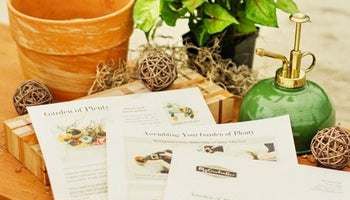 Image of The Best Gift Boxes for Plant Lovers from the Collector to the Gardener