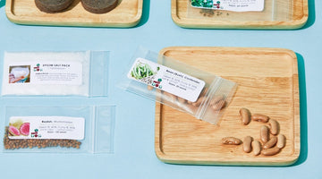 Image of Get Growing With Spring Gardening Tasks