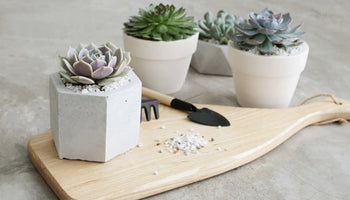Image of 11 End-of-Year Teacher Gifts for Favorite Teachers