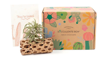 Image of The Best Gardening Subscription Boxes: Seeds, Plants, Succulents, Oh My!