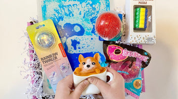 Image of What Are Fidget Toys?