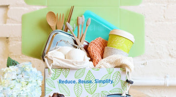 Image of Picnic Essentials for Your Best Summer Picnic Possible