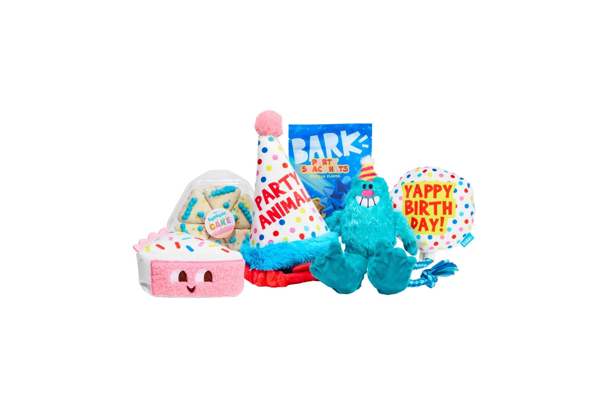 BARK’s Birthday Box assortment: a plush cake slice, a party-hat toy, a bag of BARK treats, a teal monster plush, and a balloon-shaped toy