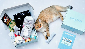Image of The Best Subscription Boxes for Cats (With Treats for Humans, Too)