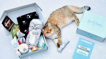 Image of The Best Subscription Boxes for Cats (With Treats for Humans, Too)