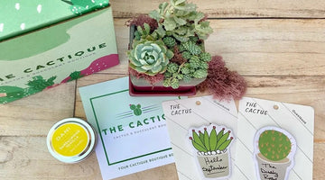 Image of To the Moms of Living Things That Aren't Kids 🌿🌵🐈🐕