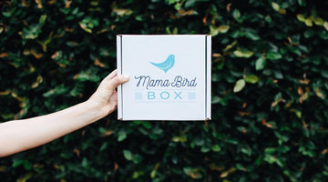 A hand holds up a white Mama Bird Box with its blue bird logo and the words Mama Bird Box, in front of a dark green hedge.