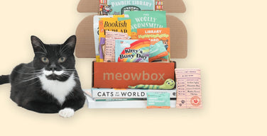 A tuxedo cat lying beside an open orange meowbox packed with library-themed cat toys and treats