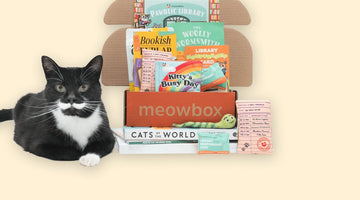A tuxedo cat lying beside an open orange meowbox packed with library-themed cat toys and treats