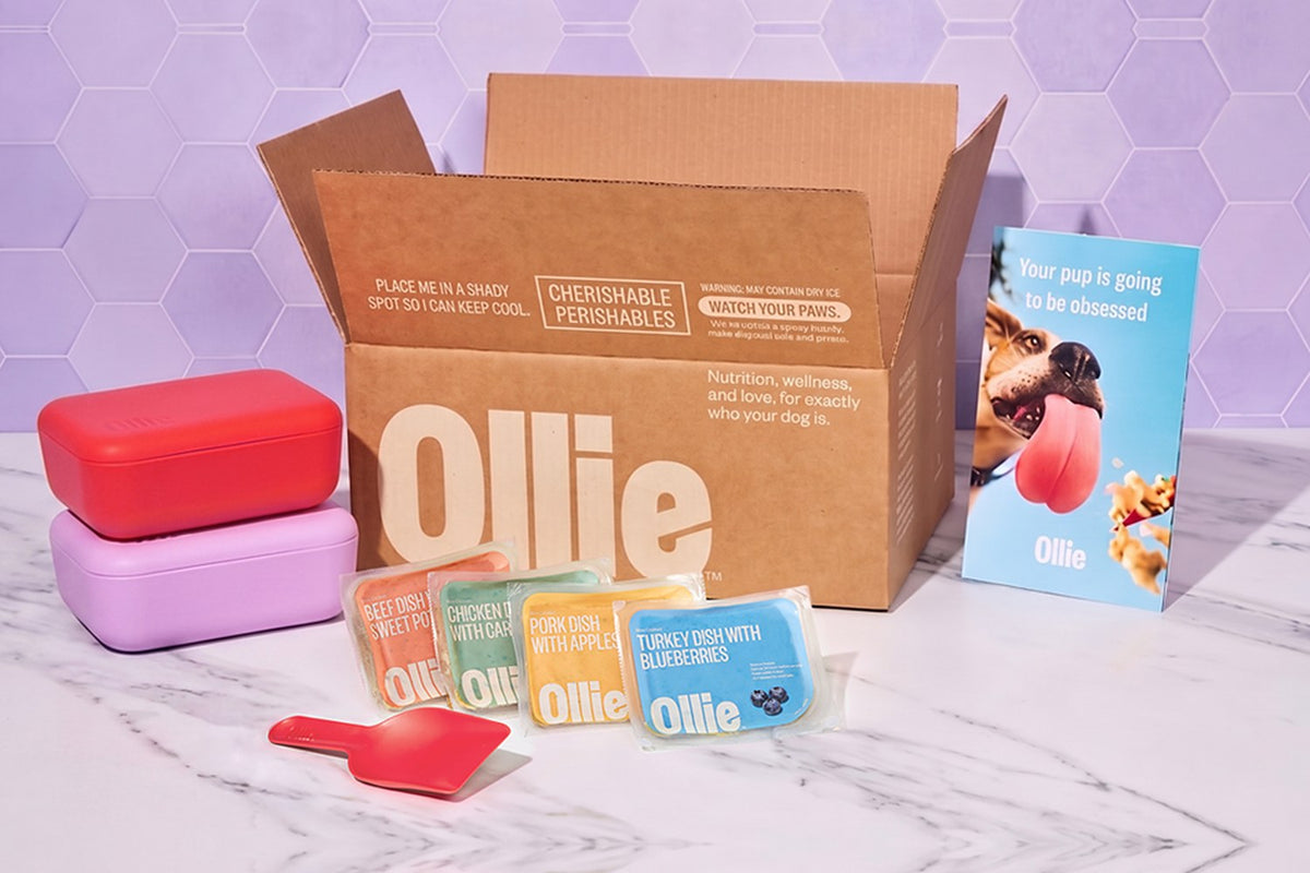 An open cardboard Ollie box printed with the Ollie logo, with Ollie beef, chicken, pork, and turkey food packs, red and purple storage containers, a red scoop, and an Ollie brochure on a marble counter
