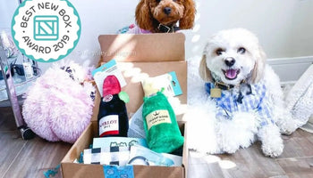 Image of Pet Gift Guide: Subscription Boxes for All Kinds of Animal Lovers (2022)