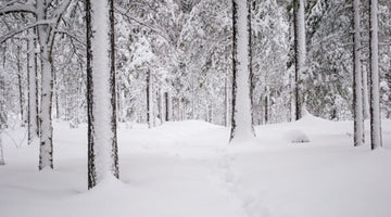 Image of Winter Solstice Traditions Around the World from Dong Zhi to Yule