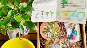 Image of Best Gardening Gifts for 2023