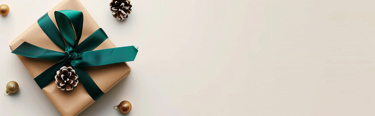 Black Friday Gifts Under $25