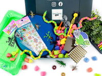 Therapy Sensory Bin | BUGS! 🪱🐛🦋🐝🐞🕷