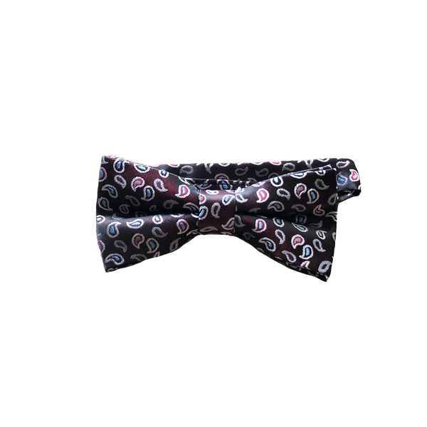 Joyful Paisley Bow Tie