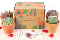 succulents box affiliate program Succulents Box