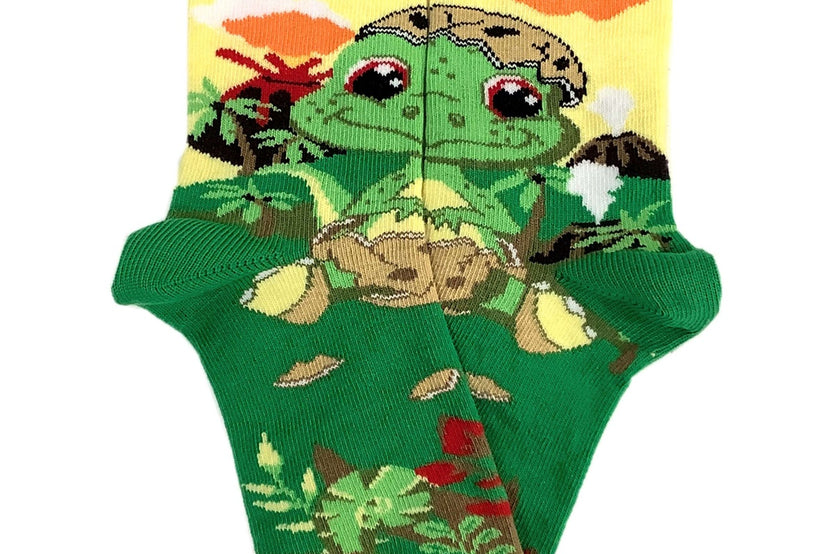 Baby Dinosaurs Socks (Set of Two) (Ages 3-7)