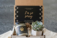 Dog Memorial Gift Box - Pet Loss Sympathy Care Package with Live Succulent & Candle