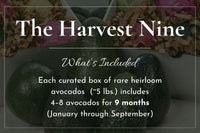 The Harvest Nine - Locally Delivered, See Details
