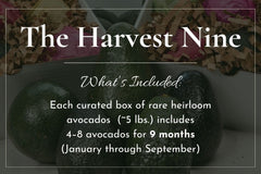 The Harvest Nine - Locally Delivered, See Details