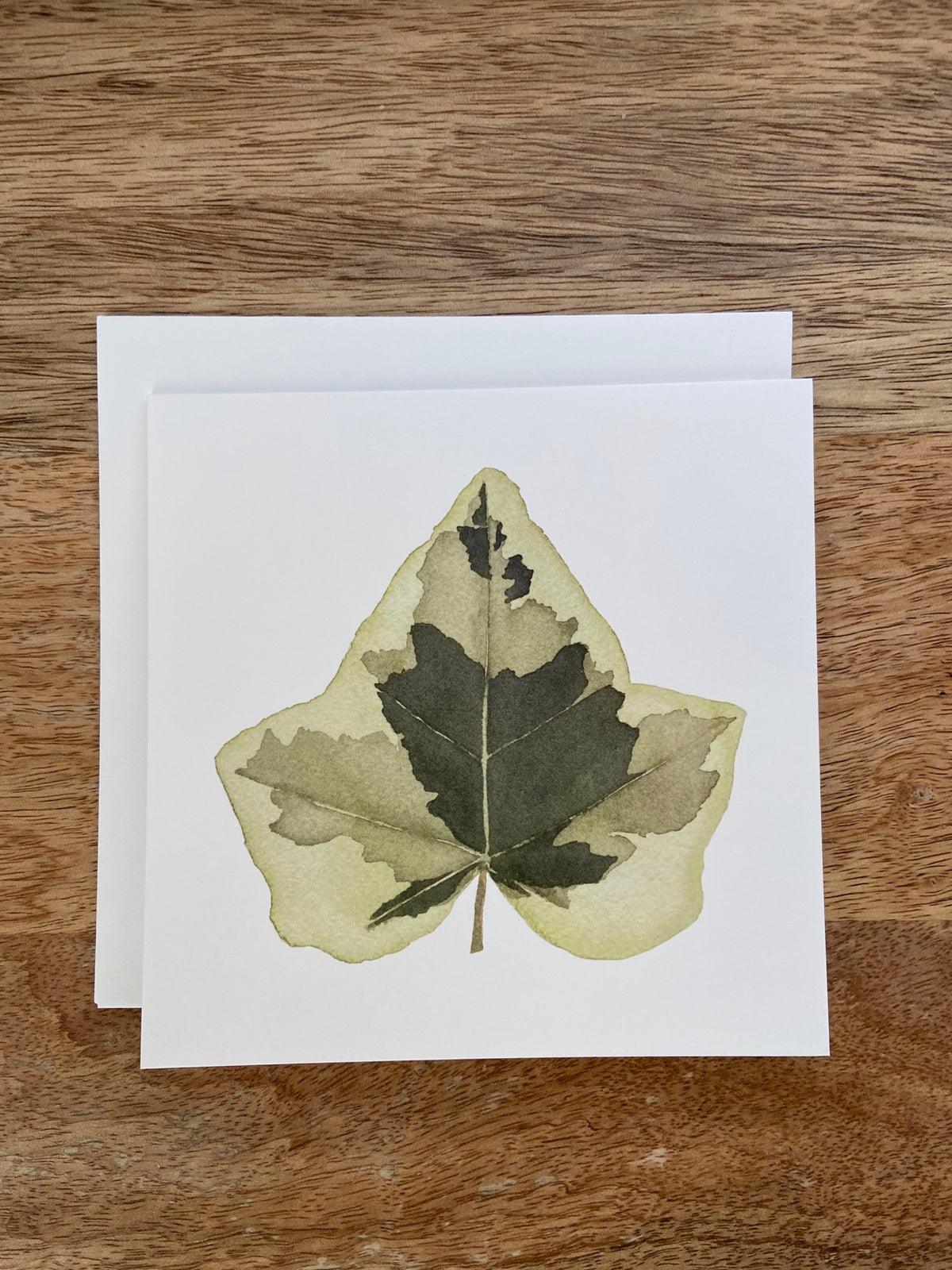 Variegated English Ivy Plant Any Occasion Card
