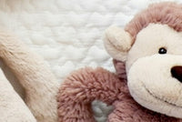 Monthly Baby Sensory Surprise