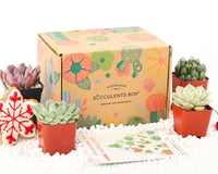 10 romantic gift ideas for your girlfriend, christmas gifts for teen girls, christmas gifts for men, christmas gifts for mom, holiday gift