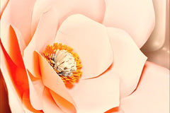 Paper Flower Box