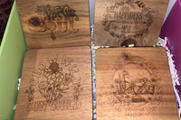 Hippie Days Box