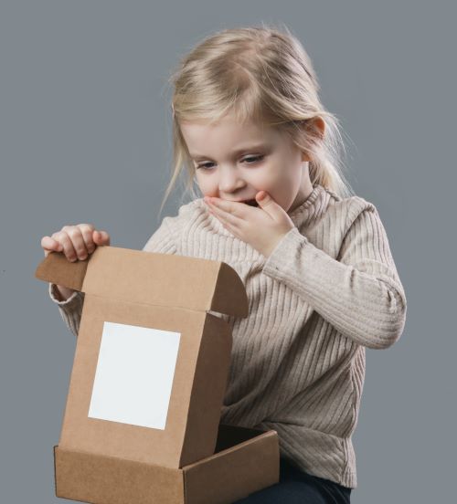 Busy Box - Surprise BIG BOX!