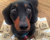 THE SUPER MEGA SUMMER SEED PACK