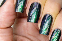 My Mani Box (XL- for long nails)