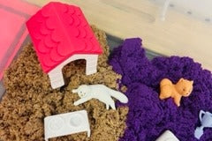 Paws & Play Sensory Box Pet Themed Activities for Kids
