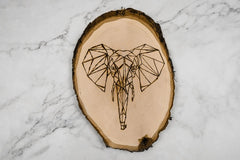 Wood Burning DIY Craft Kit