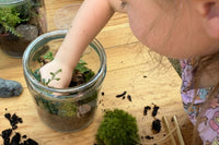 A picture of a young girl placing a plant inside and almost completed terrarium. There is another completed terrarium in the background.