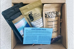 3-month Tea Hive Set
