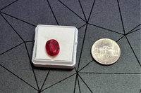 Dragon's Hoard Subscription Box