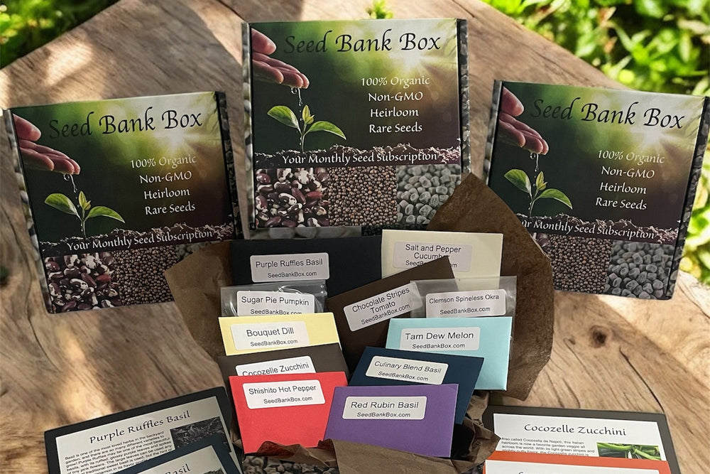 box seed plant Seed Bank Box