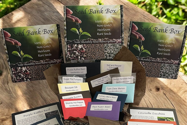Seed Bank Box