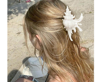 Beach Box Ships First, then choose from over 30 additional box themes for upcoming months!  Bring the Beach home, wherever you are!