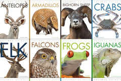 Discover the Animals - A diverse collection of 76 animals! You will receive 3 new animals each month! 